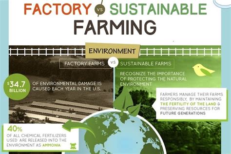 you are what you eat factory farming